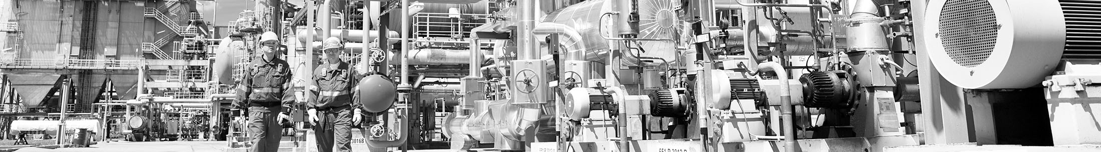Petrochemical - Rotolok Singapore